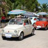 Montevago 2010 (210)